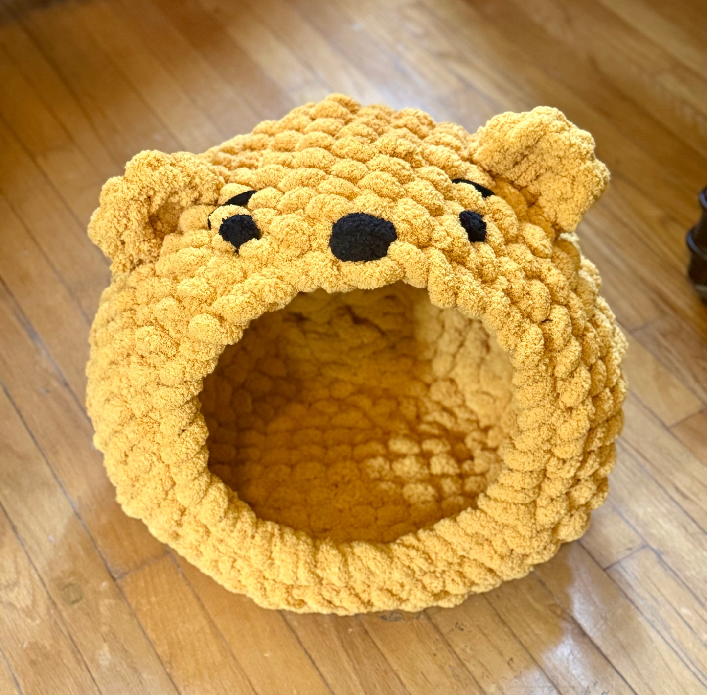 Sharks, Bears, Frogs, Bunnies, and Bats Oh My!